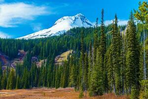 Mount Hood in Oregon photo