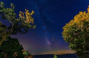 estrellado cielo terminado adriático mar foto