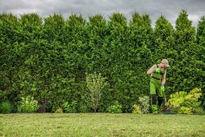 Gardener Raking Freshly Mowed Grass From Backyard Garden Lawn photo