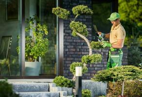 Garden Worker Trimming Decorative Tree Using Cordless Shaping Trimmer photo