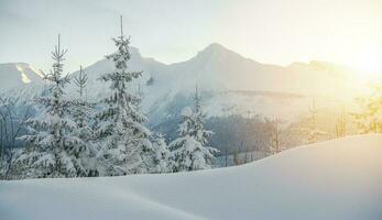 Winter Wonderland Landscape photo