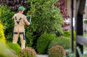 Garden Worker Trimming Decorative Trees photo