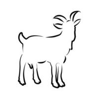 Goat design logo symbol icon line art vector illustration