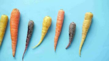 Mixed colorful carrot on blue background video