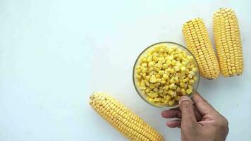Sweet corns in a bowl on table video