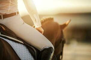 Female Horse Rider in Equestrian Facility photo