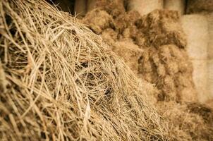 Close Up Of Stack Of Hay In Barn. photo