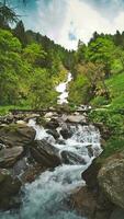 An Alpine waterfall surrounded by greenery video