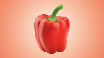 red paprika vegetable realistic vector