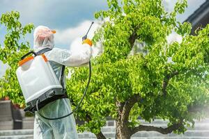 jardinero insecticida Pera árbol dentro su jardín foto