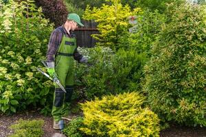 Shrub Pruning Preparation Work photo