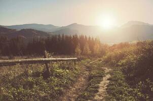 Sunny Carpathian Trail photo