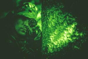 Poacher in Night Vision photo