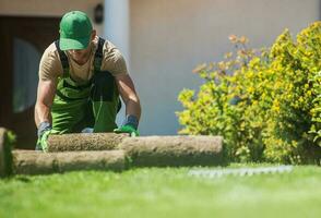 Natural Grass Turfs Installation Job photo