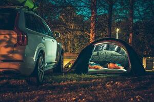 Tent Camping in the Forest photo