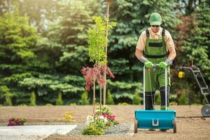 Backyard Garden Grass Seeding photo