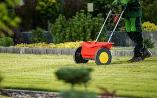 Grass Lawn Seeding Spreader Job photo