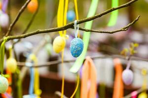 Three decorative Easter eggs hanging on blooming branch. Spring blooming, holiday greeting card template. photo