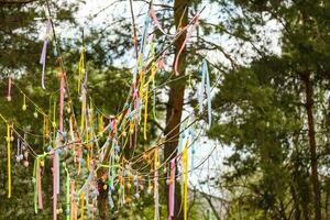 Tres decorativo Pascua de Resurrección huevos colgando en floreciente rama. primavera floreciente, fiesta saludo tarjeta modelo. foto