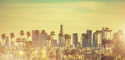 Downtown Los Angeles Panorama with Few Palms photo