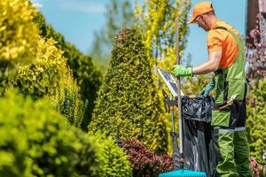 Garden Seasonal Maintenance photo