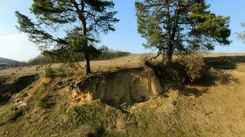 antenne visie van svirzh kasteel in de buurt leven, Oekraïne. meer en omgeving landschap Bij zonsondergang. het schieten met fpv dar video