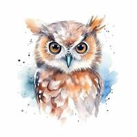 Cute watercolor owl. Illustration photo