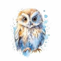 Cute watercolor owl. Illustration photo