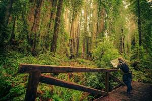 Hiker with Map on a Trail photo