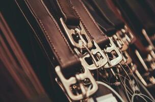 Genuine Leather Belts in Retail Store photo