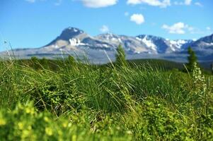 Mountain Meadow View photo