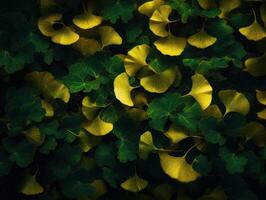 gingko biloba hojas oscuro antecedentes creado con generativo ai tecnología foto