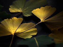 Ginkgo biloba leaves Dark background created with technology photo