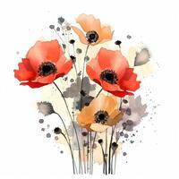 Watercolor poppy flower. Illustration photo