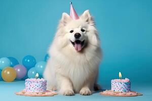Cute Birthday dog with cake. Illustration photo