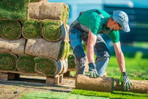 Natural Grass Turf Installer photo