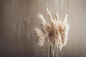 Minimalist background with pampas grass. Illustration photo