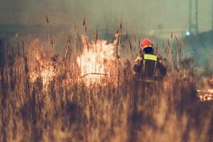 Bush Wildfire Fighting photo