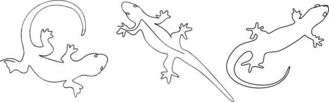 lizard continuous line set illustration vector