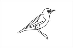 continuous line drawing of bird perching illustration vector