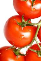 Tomatoes Freshness Close-up photo