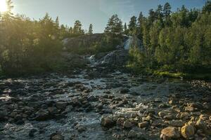 Scenic Norwegian Wilderness River photo