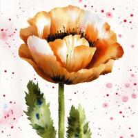 Summer concept. Beautiful watercolor Poppies. A radiant Poppies. Natures Beauty. photo