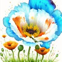 Summer concept. Beautiful watercolor Poppies. A radiant Poppies. Natures Beauty. photo