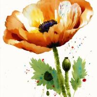 Summer concept. Beautiful watercolor Poppies. A radiant Poppies. Natures Beauty. photo