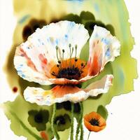 Summer concept. Beautiful watercolor Poppies. A radiant Poppies. Natures Beauty. photo