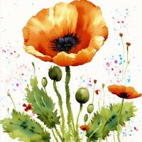 Summer concept. Beautiful watercolor Poppies. A radiant Poppies. Natures Beauty. photo