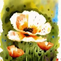 Summer concept. Beautiful watercolor Poppies. A radiant Poppies. Natures Beauty. photo