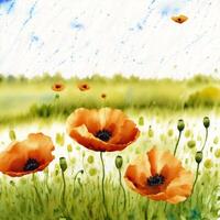 Summer concept. Beautiful watercolor Poppies. A radiant Poppies. Natures Beauty. photo