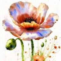 Summer concept. Beautiful watercolor Poppies. A radiant Poppies. Natures Beauty. photo